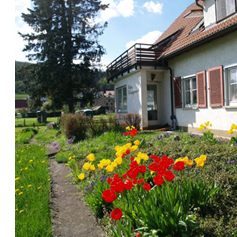 Selbstversorgerhaus Breitwiesen: Garten