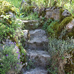 Selbstversorgerhaus Ölmühle: Naturgarten